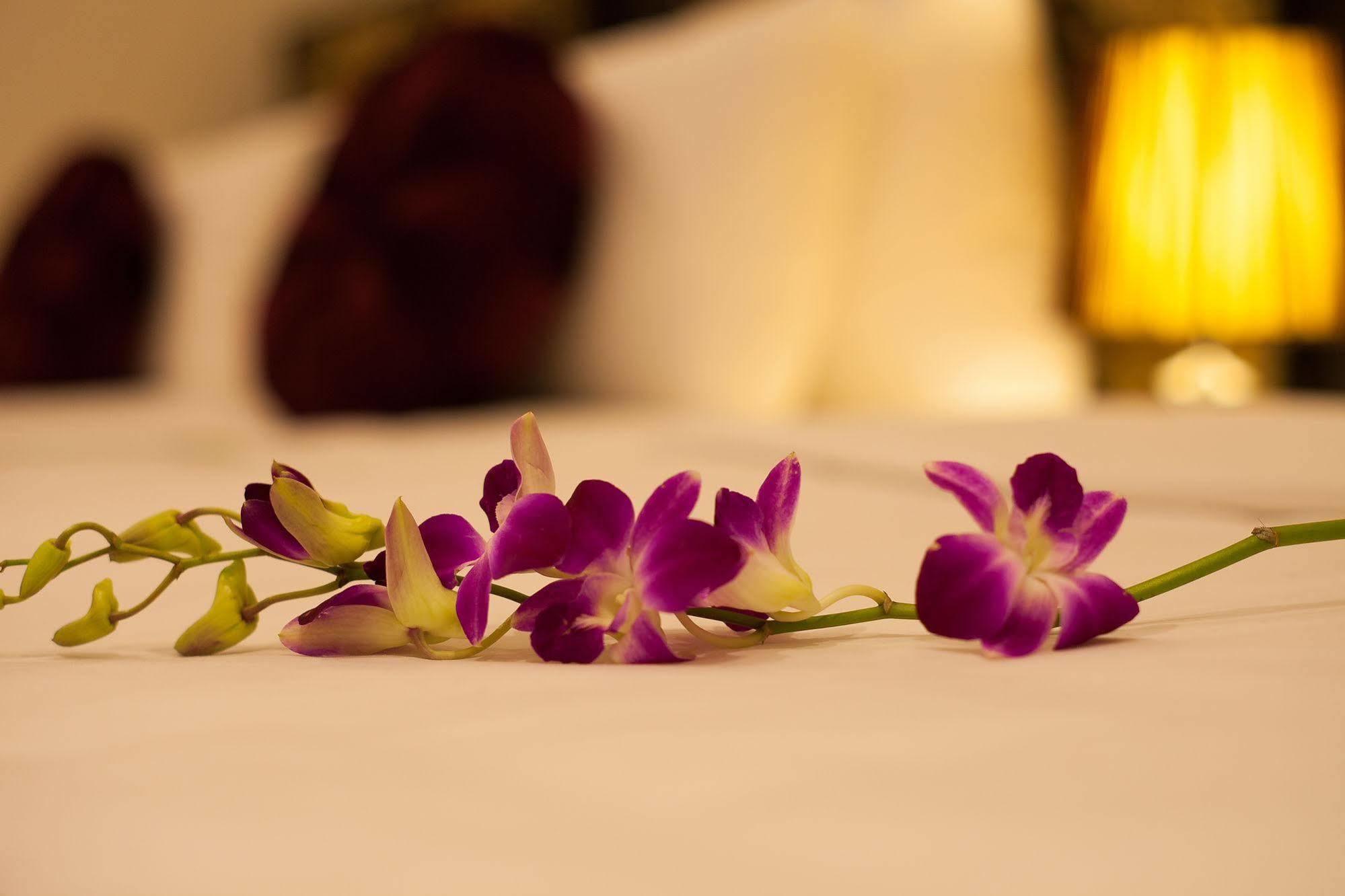 Serenity Diamond Hotel Hanoi Eksteriør bilde